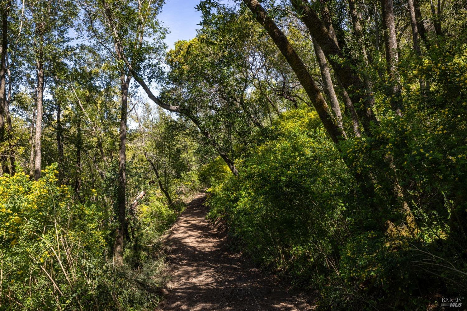 141 Granlee Road San Rafael CA 94903