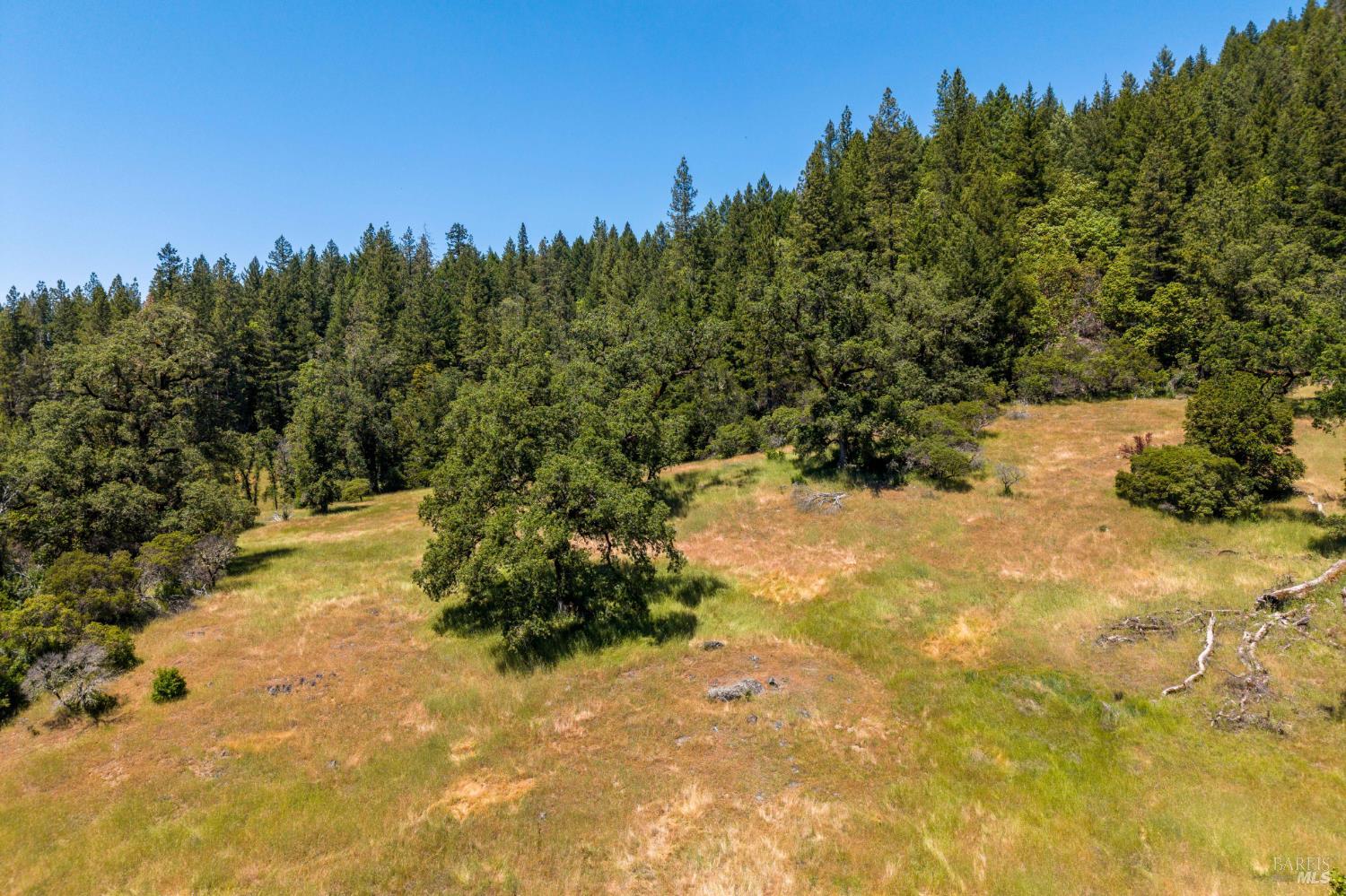 45455 Highway 101 Laytonville CA 95454