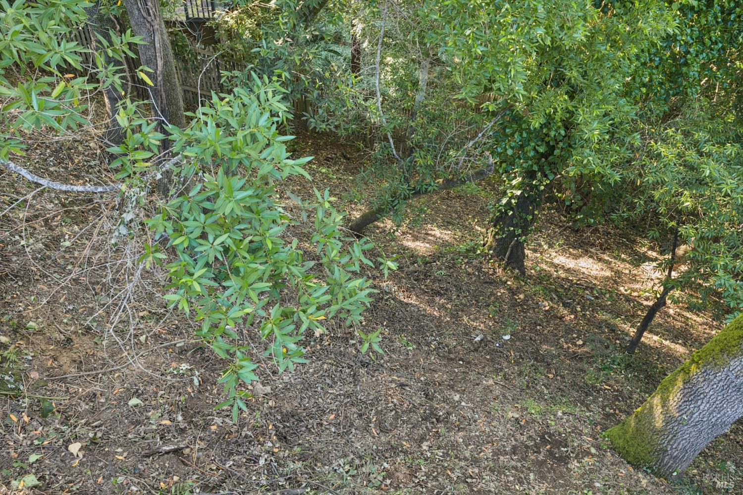 0 Quisisana Drive Kentfield CA 94904