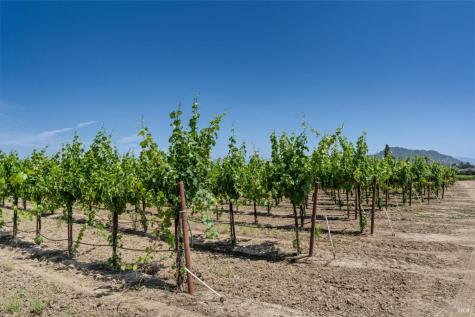 1580 Magnolia Drive Healdsburg CA 95448