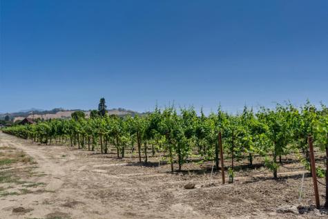 1580 Magnolia Drive Healdsburg CA 95448