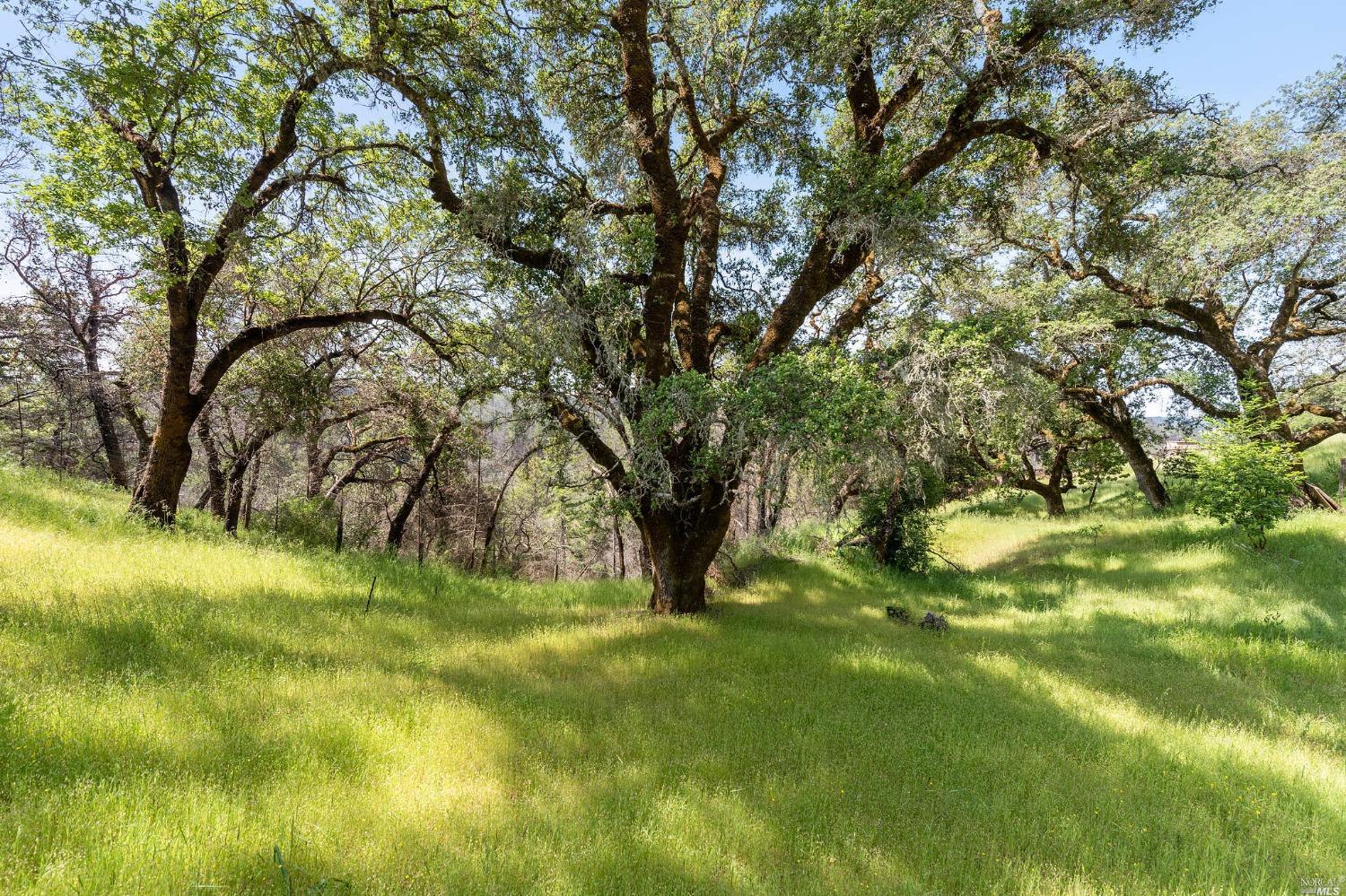 2440 Big Ridge Road Healdsburg CA 95448