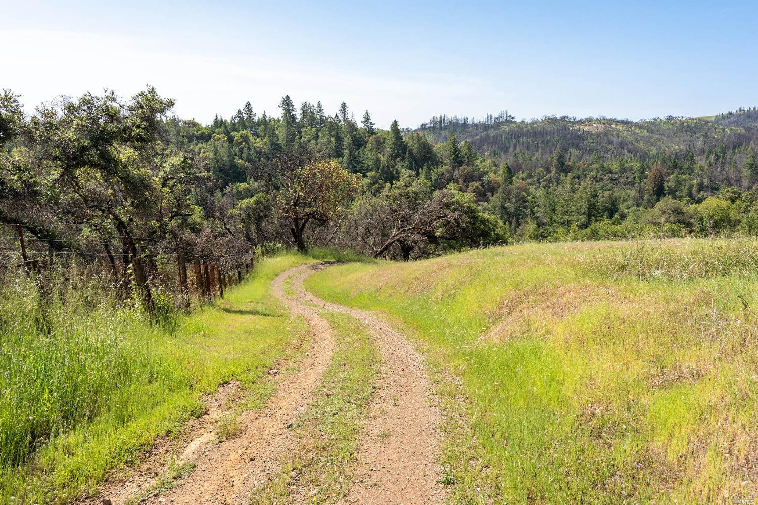 2440 Big Ridge Road Healdsburg CA 95448