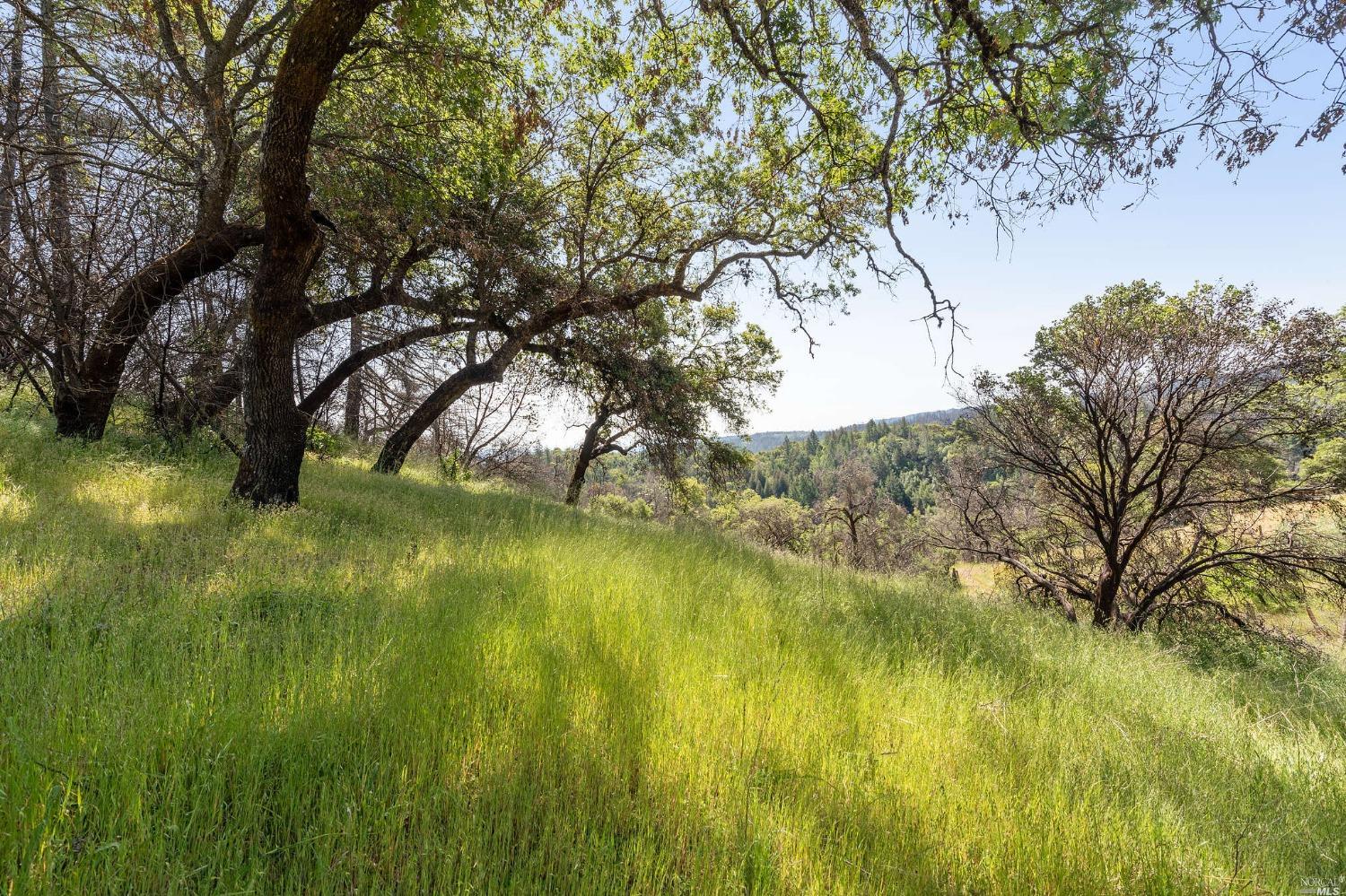 2440 Big Ridge Road Healdsburg CA 95448