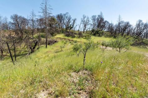 2440 Big Ridge Road Healdsburg CA 95448