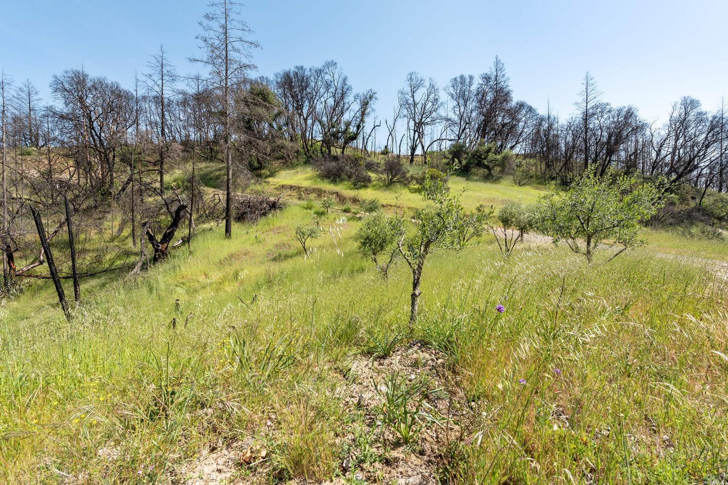 2440 Big Ridge Road Healdsburg CA 95448