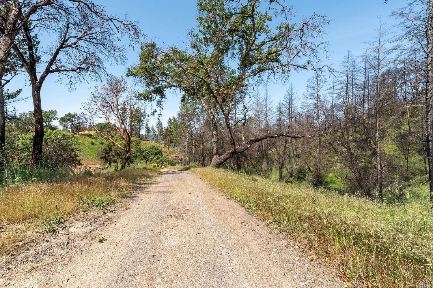 2440 Big Ridge Road Healdsburg CA 95448