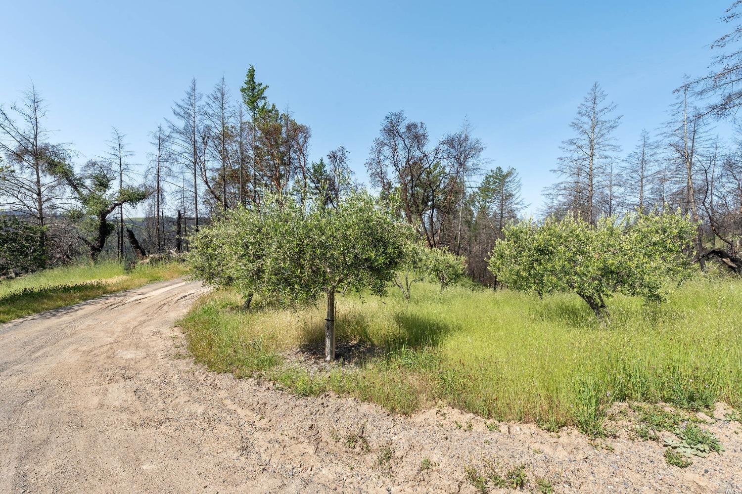 2440 Big Ridge Road Healdsburg CA 95448