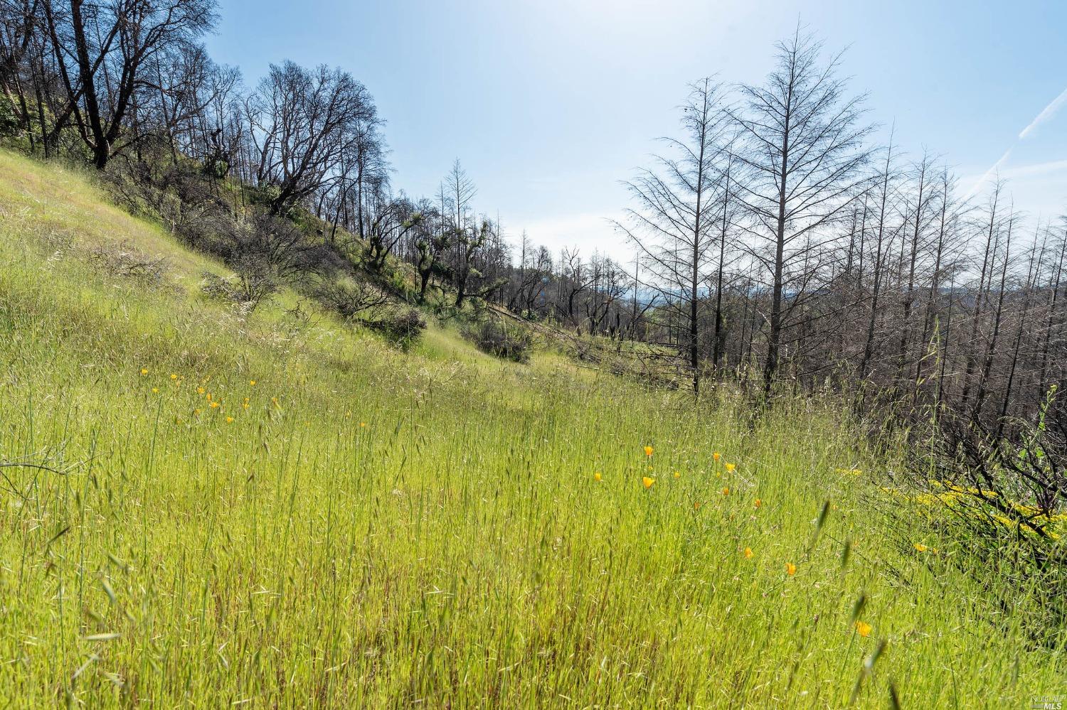 2440 Big Ridge Road Healdsburg CA 95448