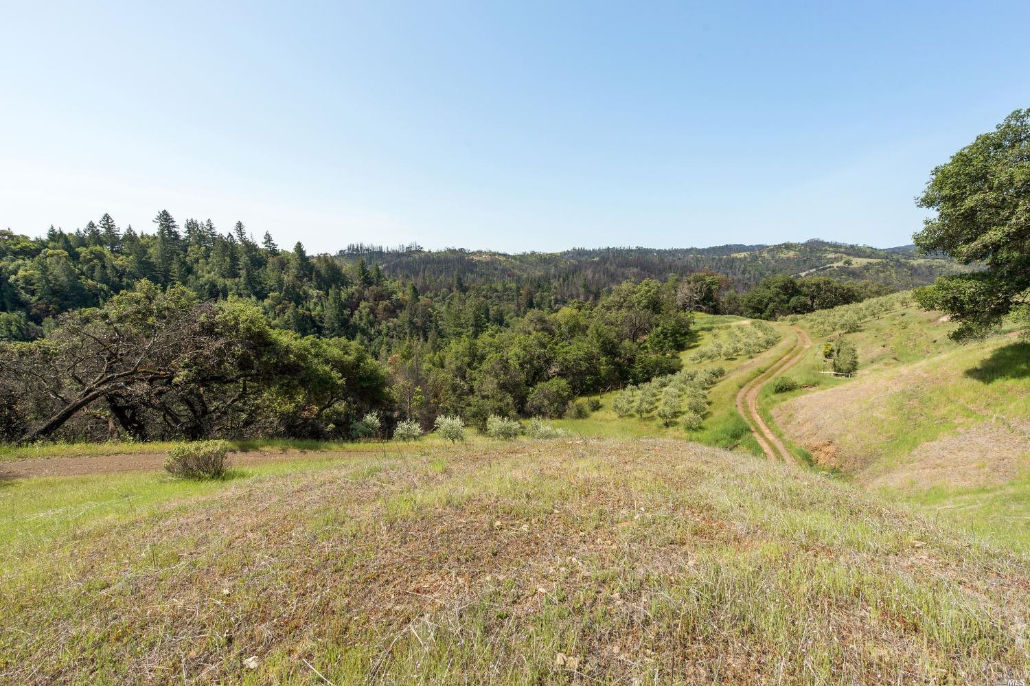 2440 Big Ridge Road Healdsburg CA 95448