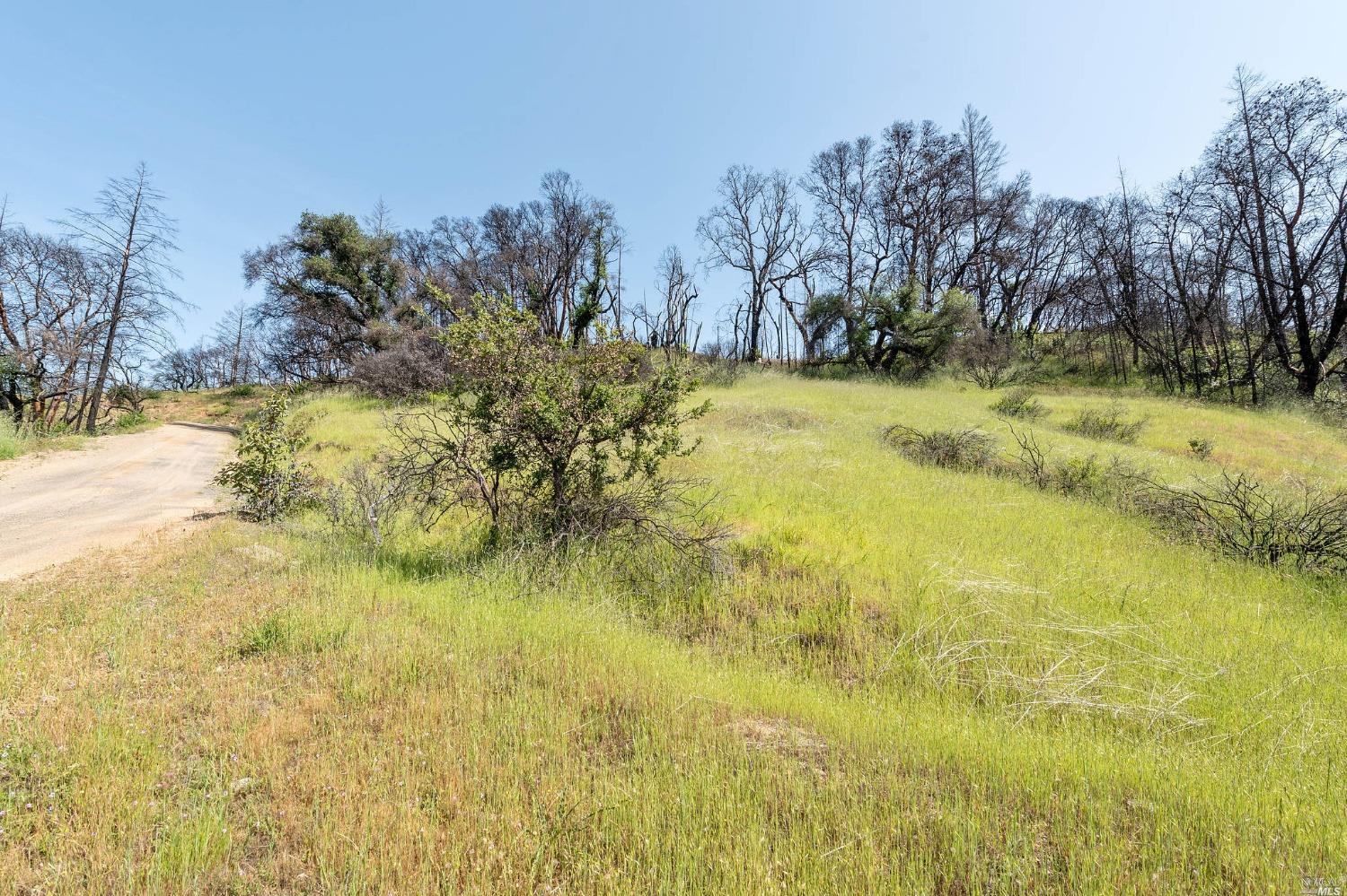 2440 Big Ridge Road Healdsburg CA 95448