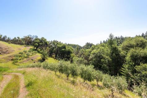 2440 Big Ridge Road Healdsburg CA 95448