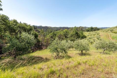 2440 Big Ridge Road Healdsburg CA 95448