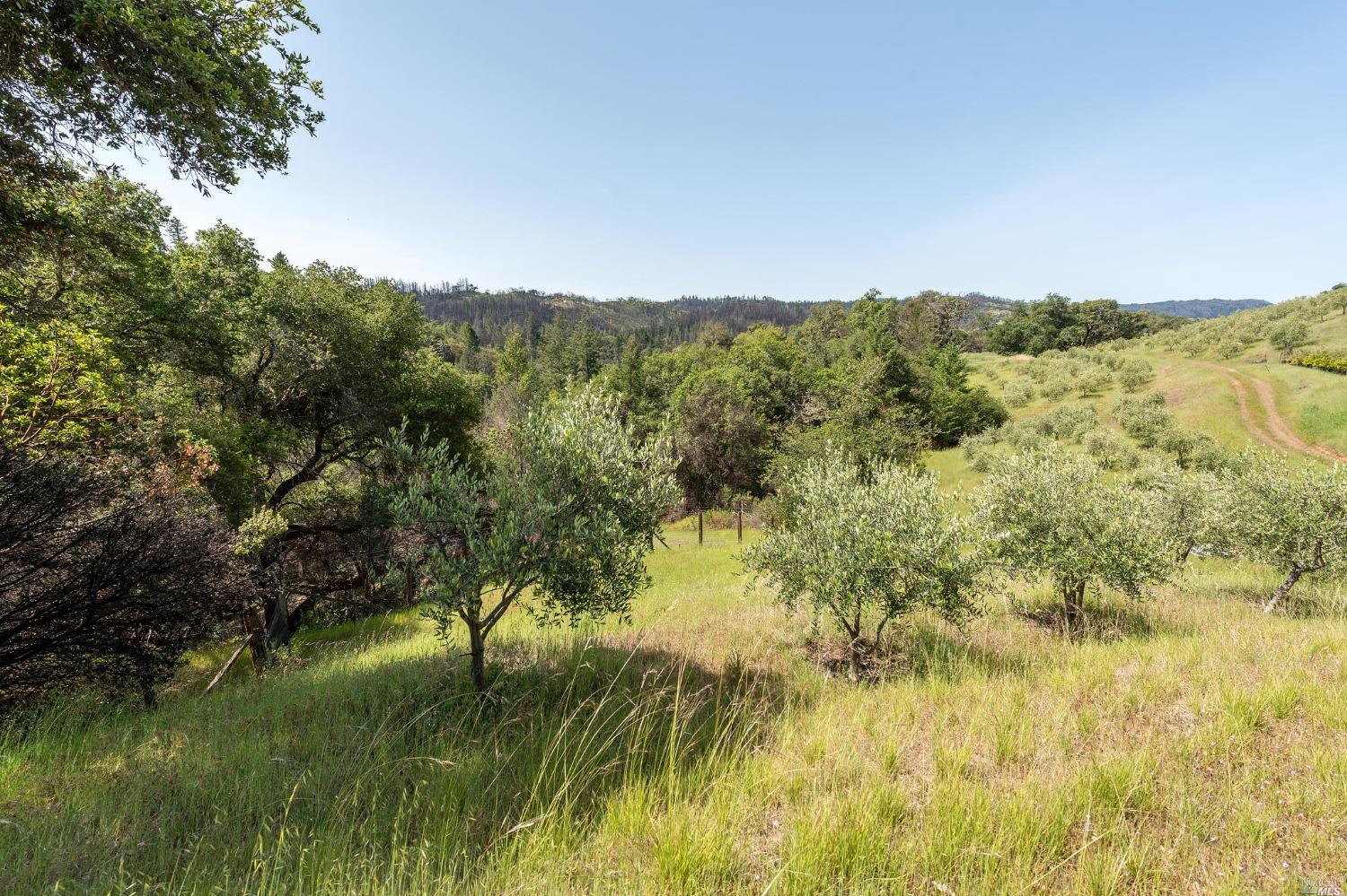 2440 Big Ridge Road Healdsburg CA 95448