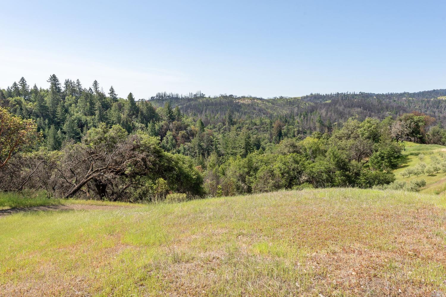 2440 Big Ridge Road Healdsburg CA 95448