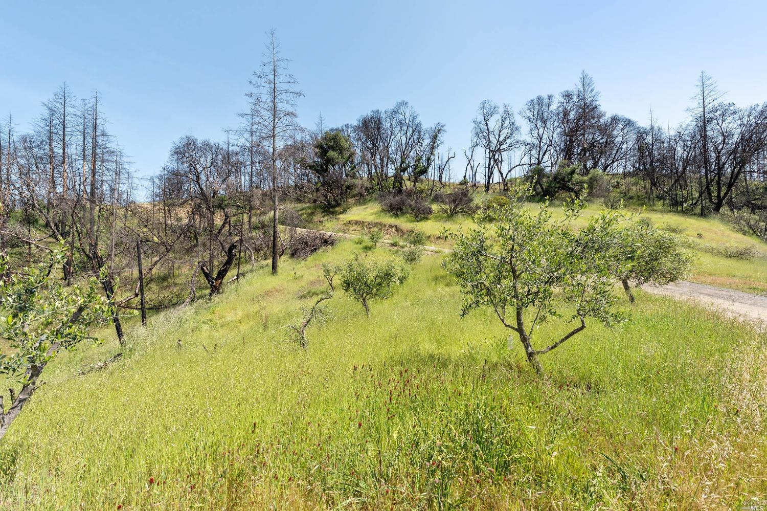 2440 Big Ridge Road Healdsburg CA 95448