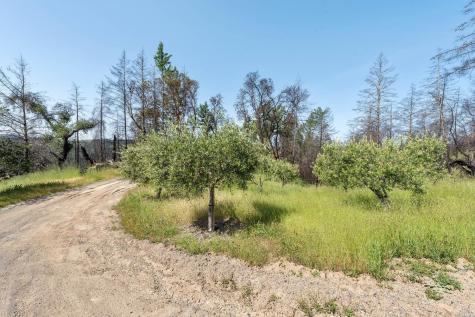2440 Big Ridge Road Healdsburg CA 95448