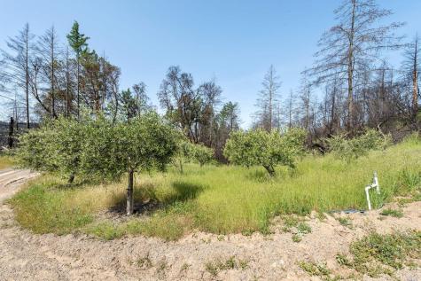 2440 Big Ridge Road Healdsburg CA 95448