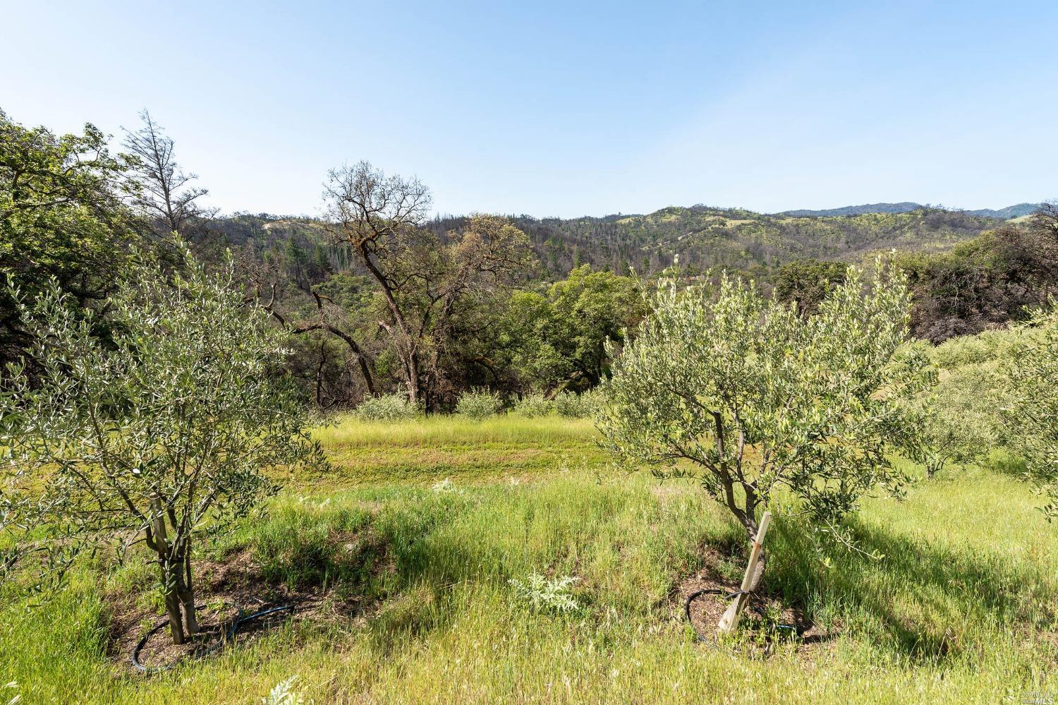 2440 Big Ridge Road Healdsburg CA 95448