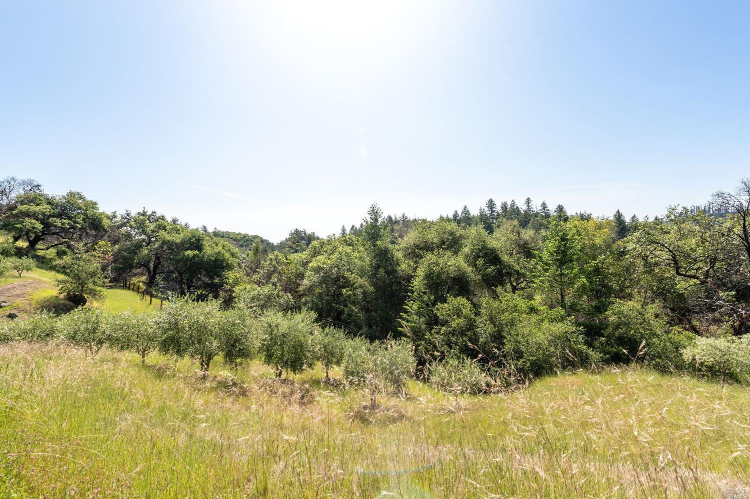 2440 Big Ridge Road Healdsburg CA 95448