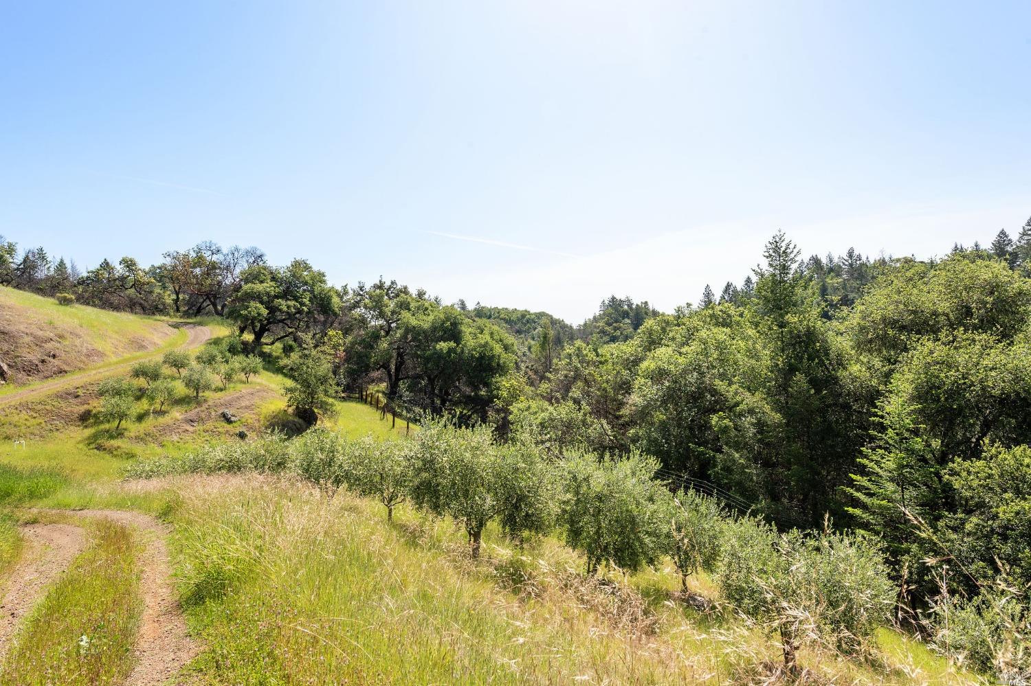 2440 Big Ridge Road Healdsburg CA 95448