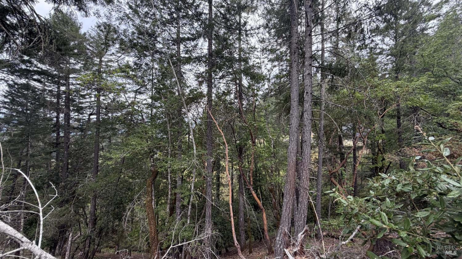 25648 Madrone Drive Willits CA 95490