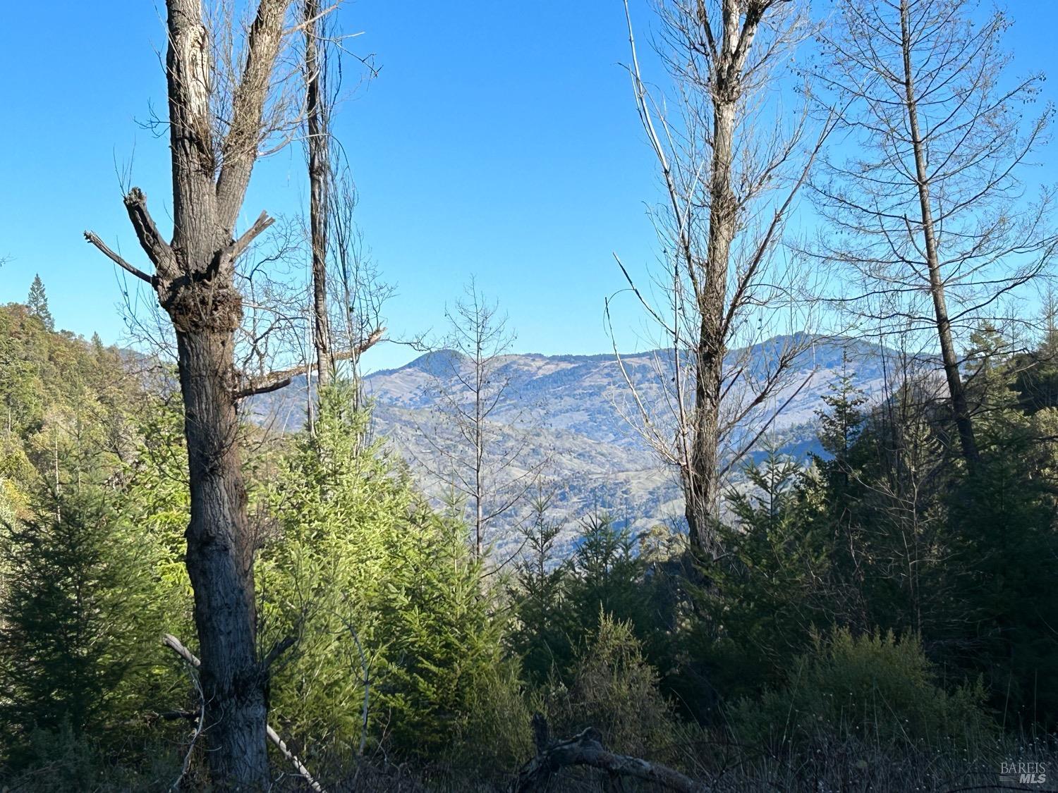 9000 Spyrock Road Laytonville CA 95454
