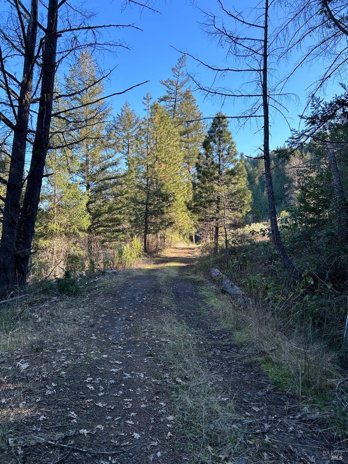 9000 Spyrock Road Laytonville CA 95454