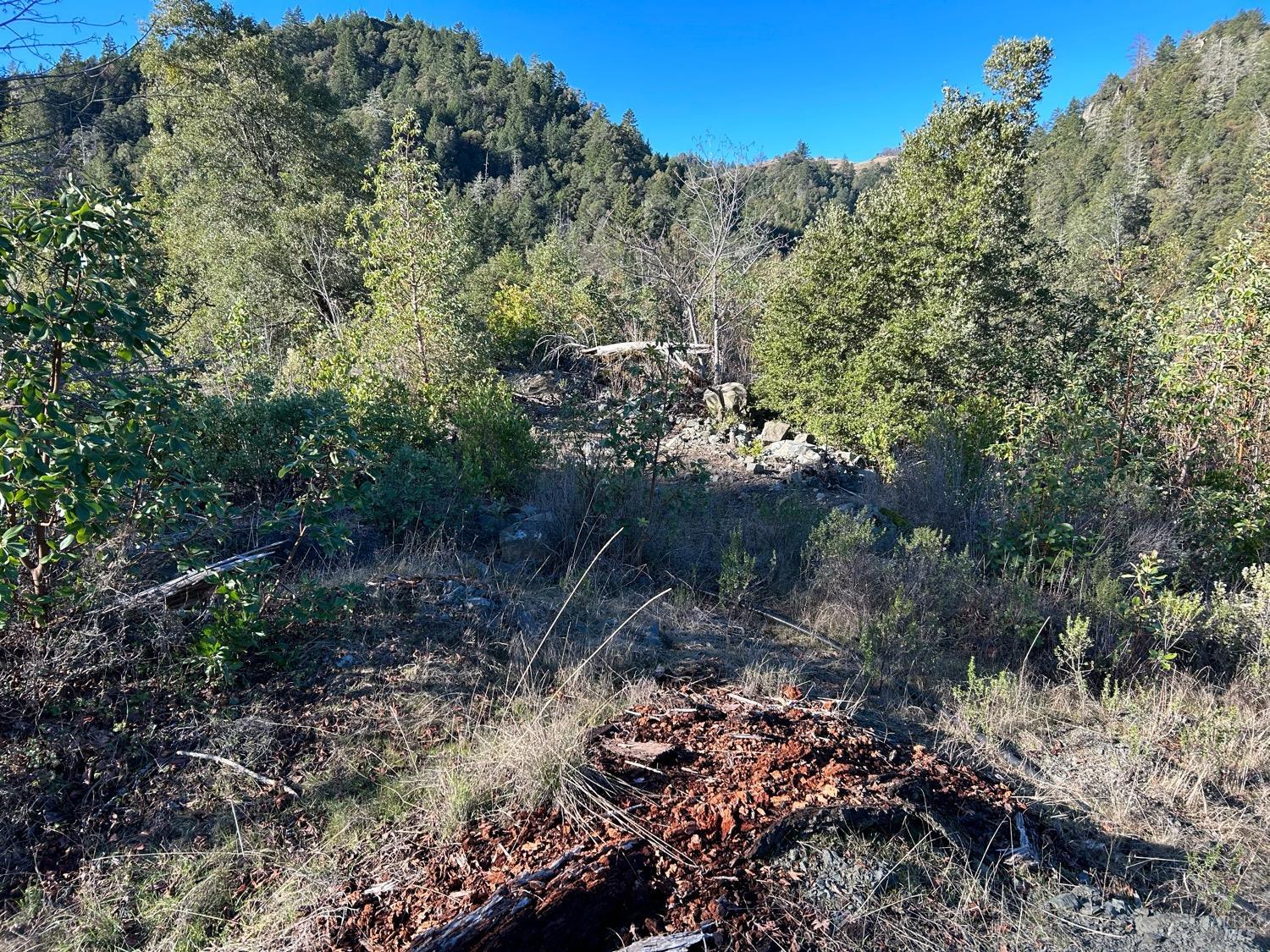 9000 Spyrock Road Laytonville CA 95454
