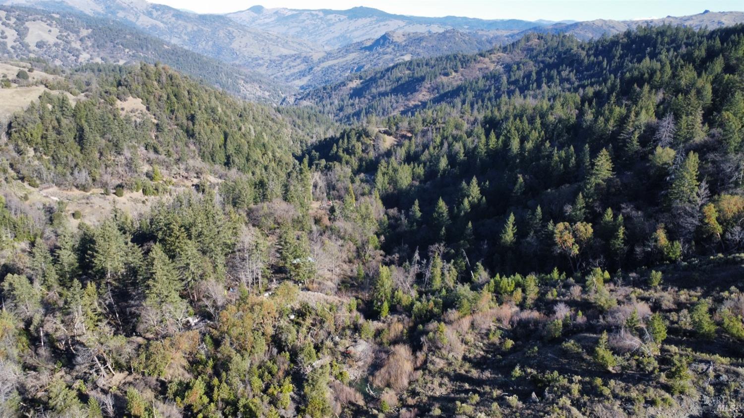 9000 Spyrock Road Laytonville CA 95454