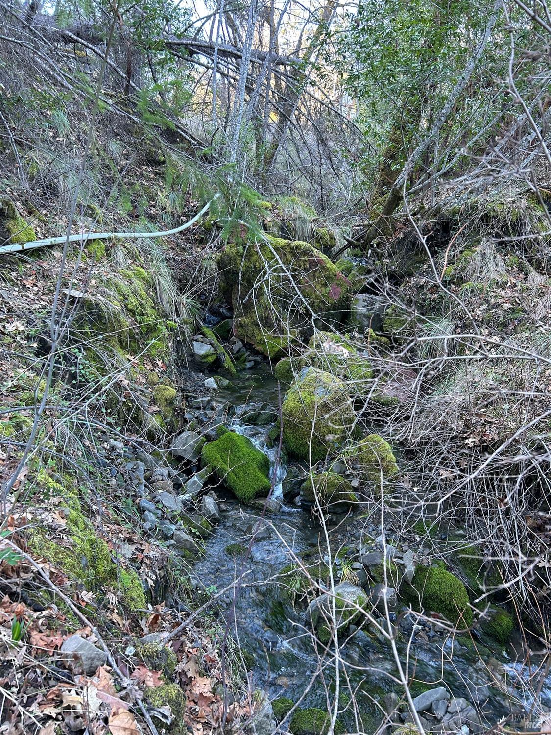 9000 Spyrock Road Laytonville CA 95454