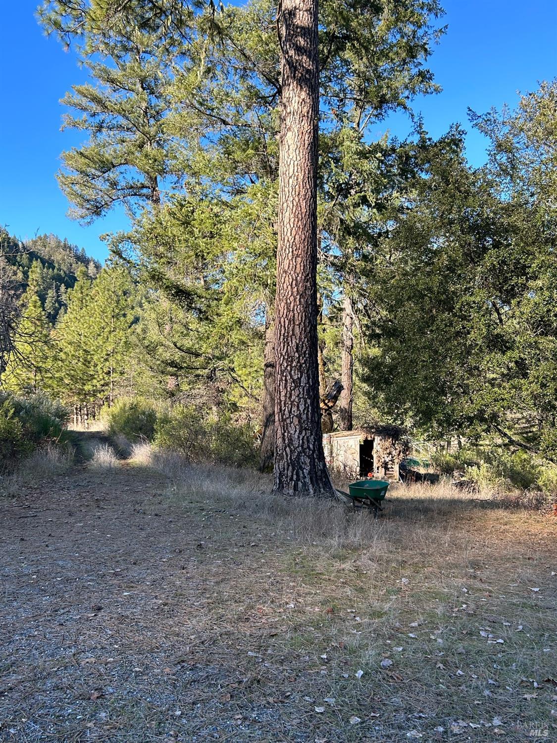 9000 Spyrock Road Laytonville CA 95454