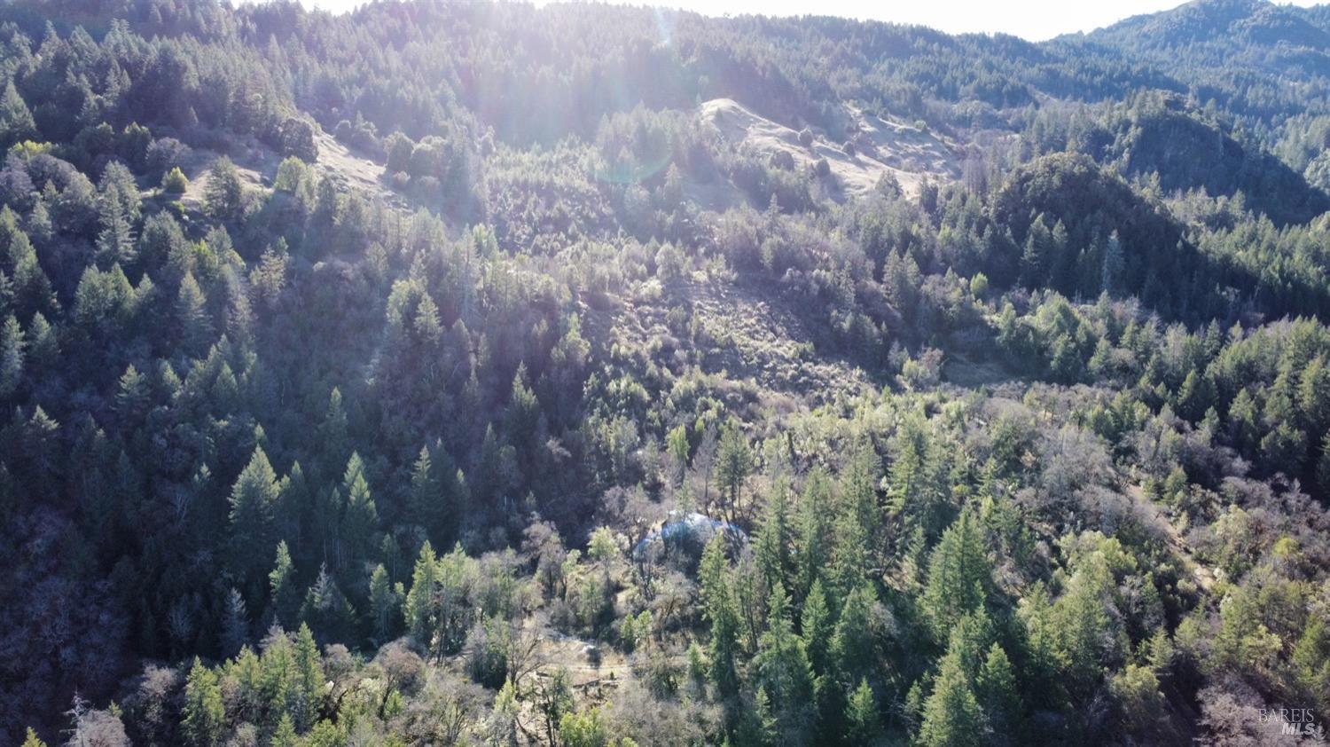 9000 Spyrock Road Laytonville CA 95454