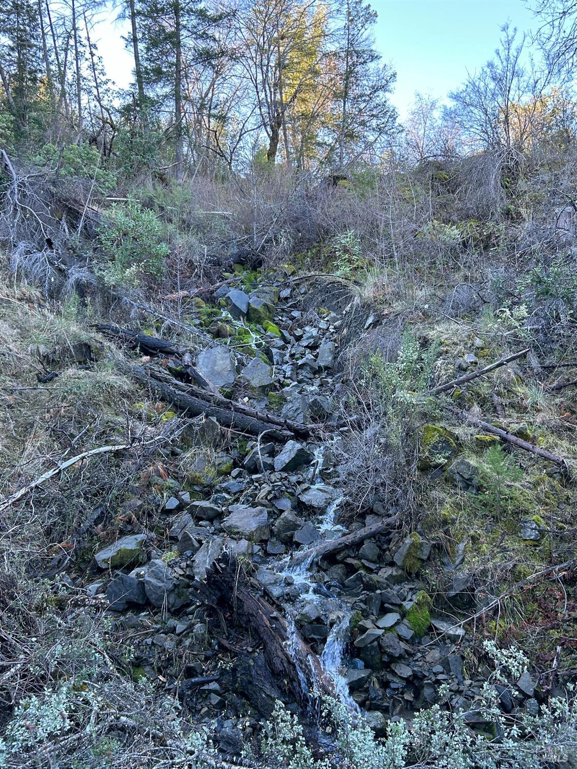 9000 Spyrock Road Laytonville CA 95454
