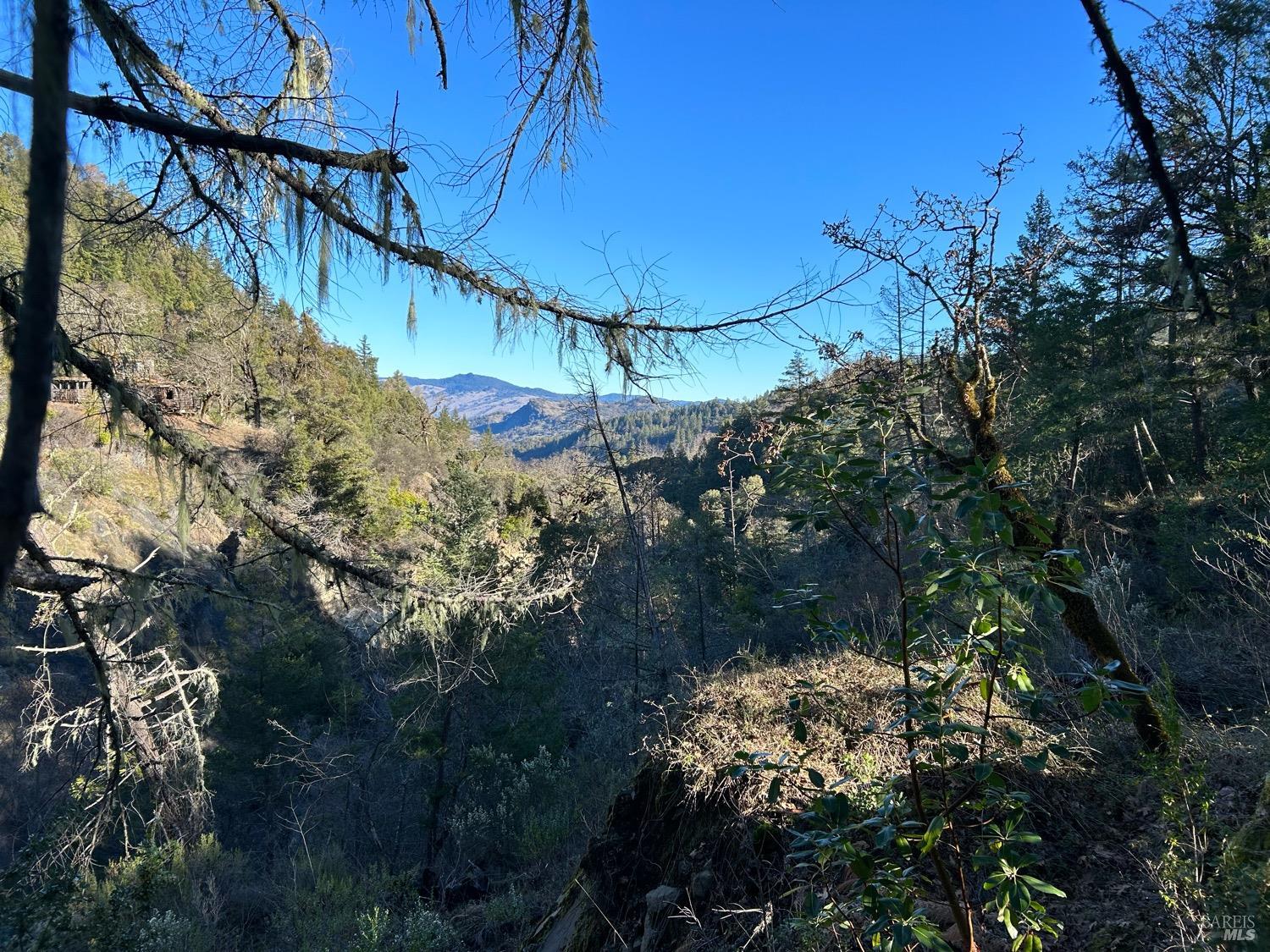 9000 Spyrock Road Laytonville CA 95454