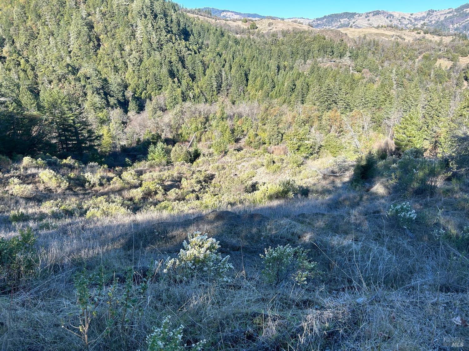 9000 Spyrock Road Laytonville CA 95454