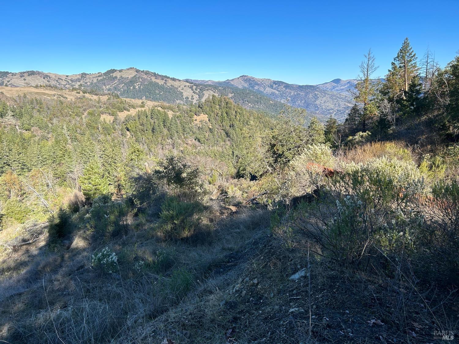 9000 Spyrock Road Laytonville CA 95454
