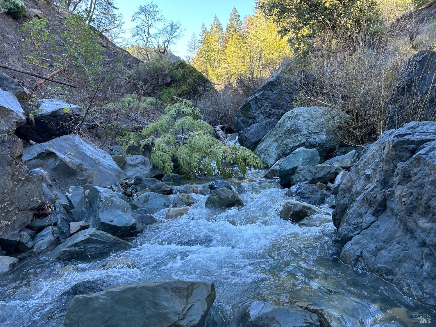 9000 Spyrock Road Laytonville CA 95454