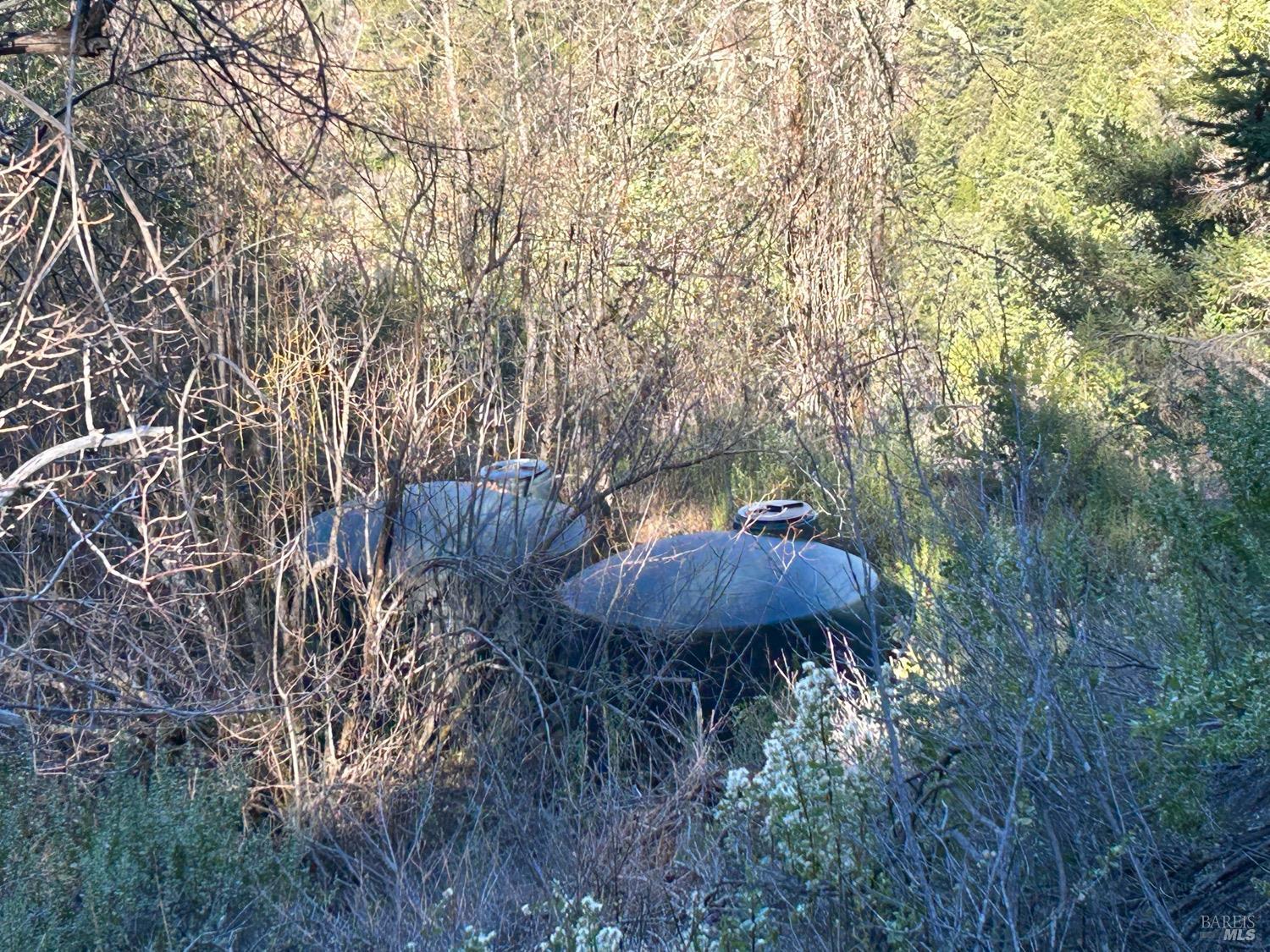 9000 Spyrock Road Laytonville CA 95454