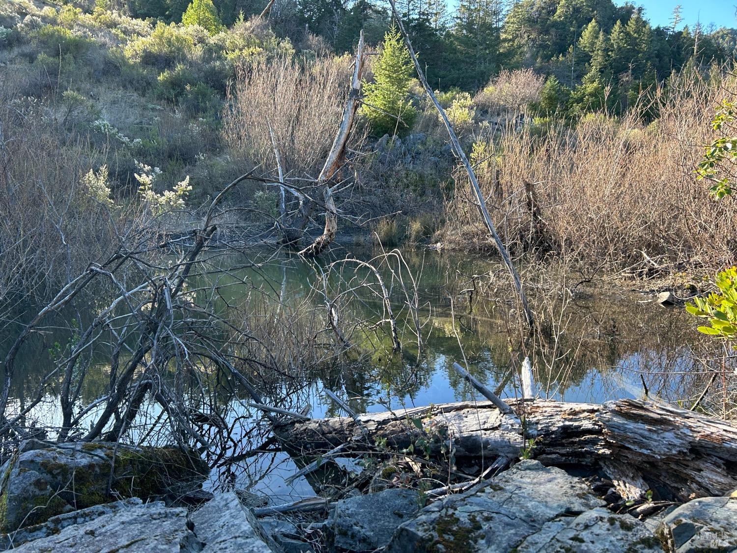 9000 Spyrock Road Laytonville CA 95454