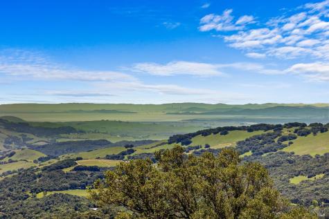 7251 Grove Court Sonoma CA 95476