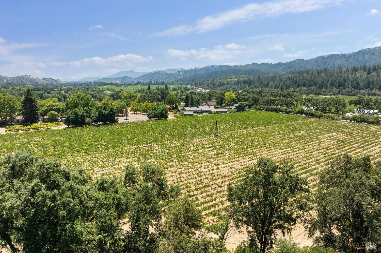 1090 Bale Lane Calistoga CA 94515
