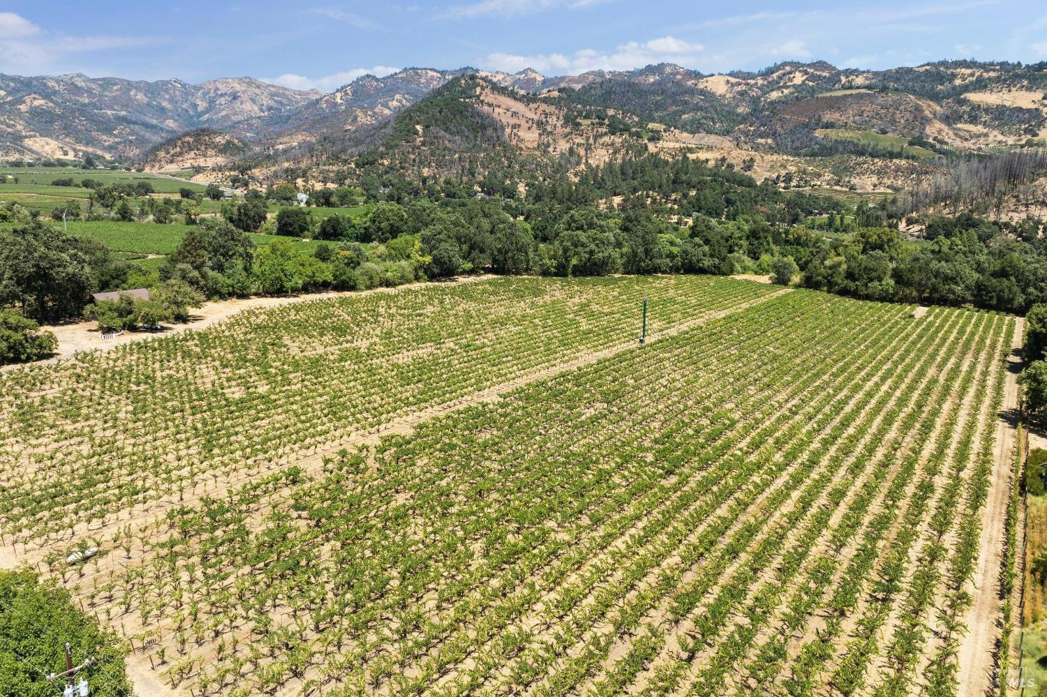 1090 Bale Lane Calistoga CA 94515