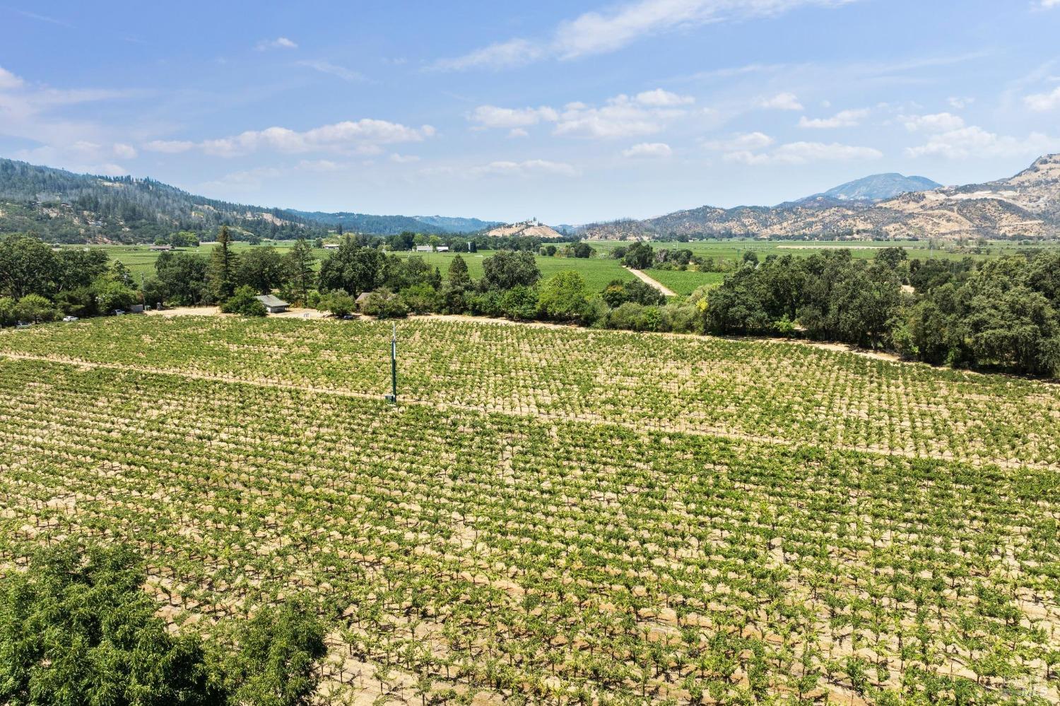 1090 Bale Lane Calistoga CA 94515