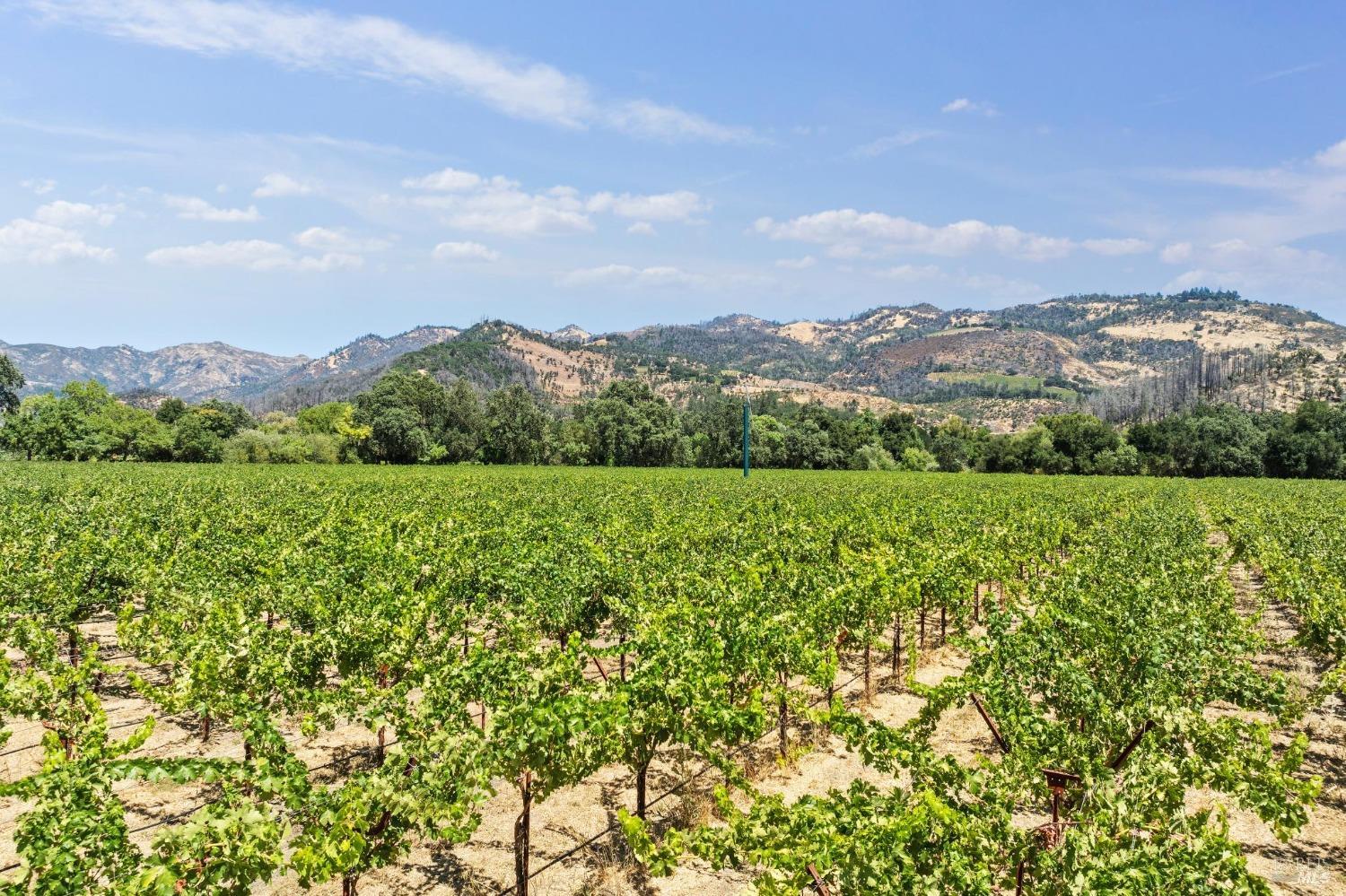 1090 Bale Lane Calistoga CA 94515