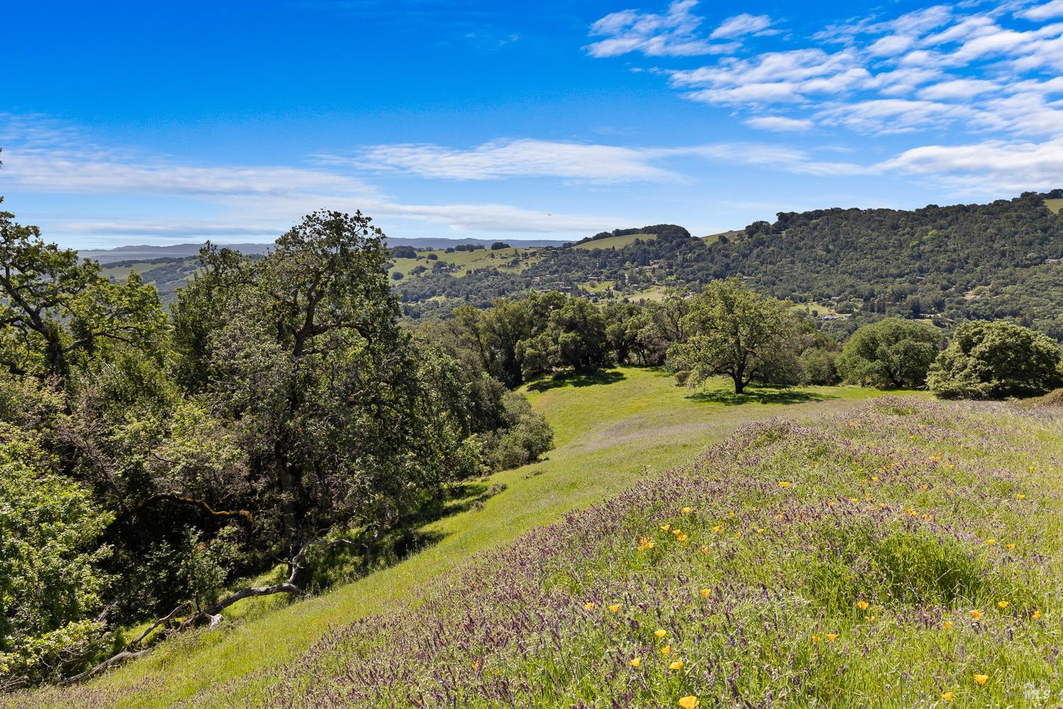 7251 Grove Court Sonoma CA 95476