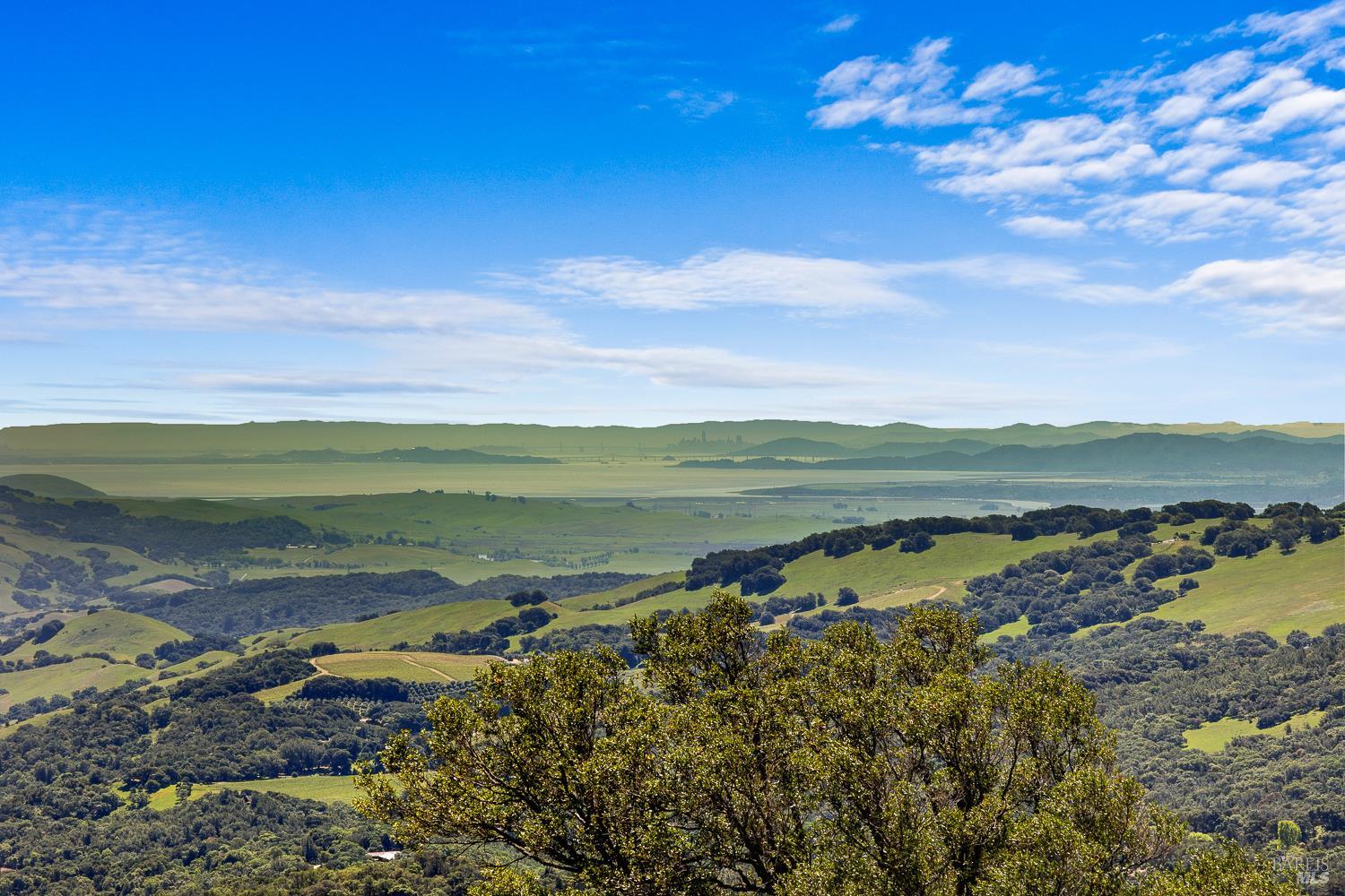 7251 Grove Court Sonoma CA 95476