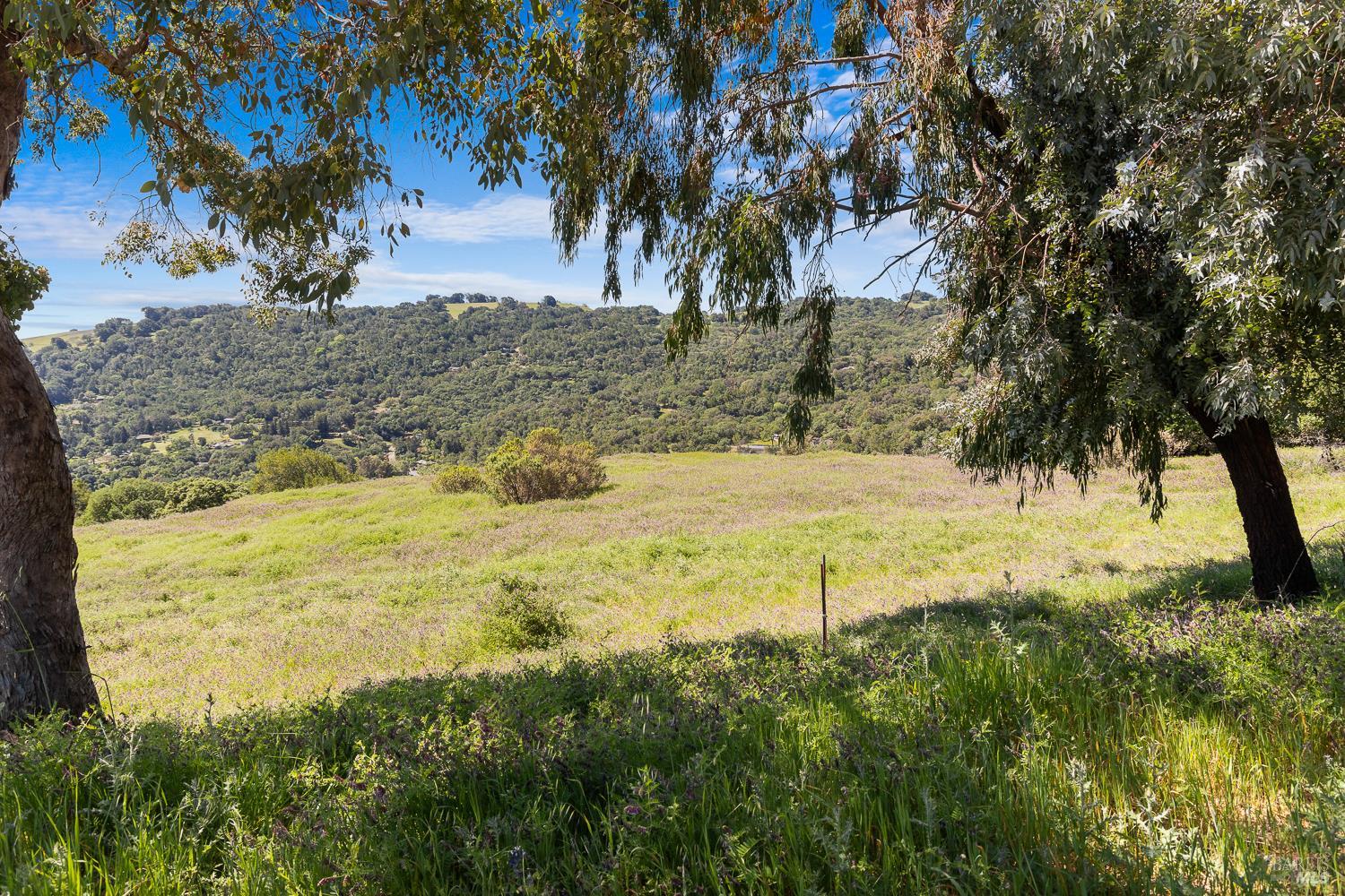 7251 Grove Court Sonoma CA 95476