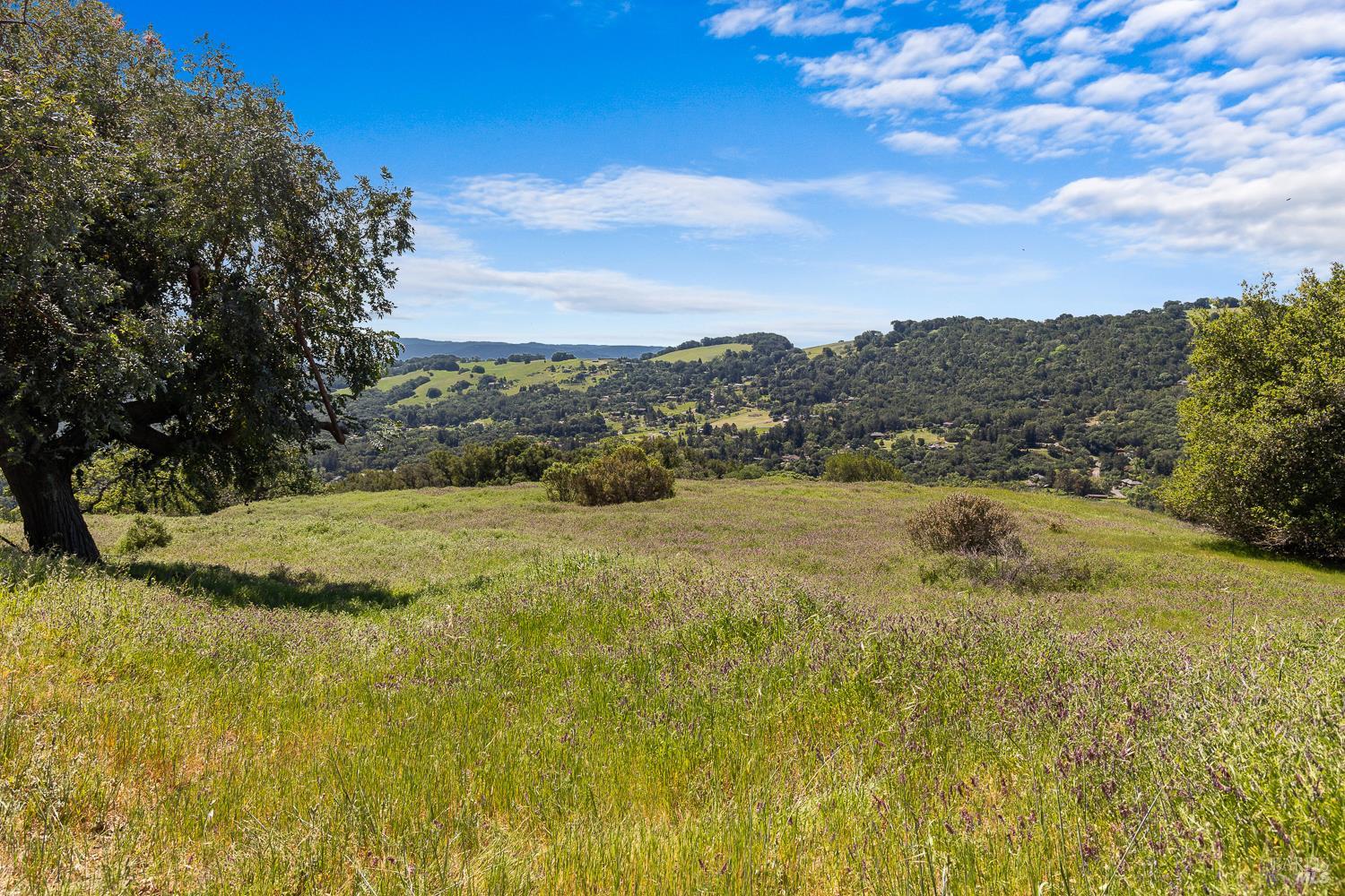 7251 Grove Court Sonoma CA 95476