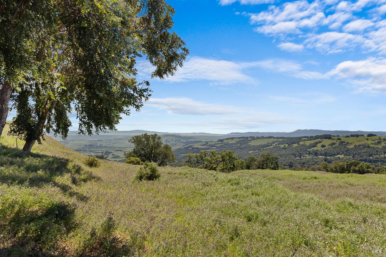 7251 Grove Court Sonoma CA 95476